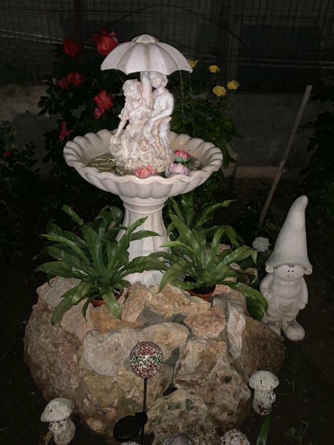 Casa Ghemus בית הארחה קוסטינסטי